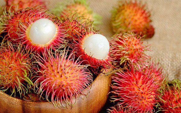 Kỹ thuật trồng chôm chôm