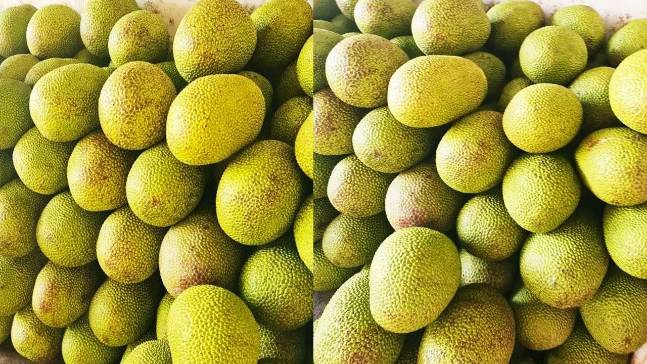 Giá mít Thái hôm nay 9/5: 4 lưu ý quan trọng khi tuyển chọn trái mít Thái, giá cao nhất chỉ có 7.000 đồng/kg