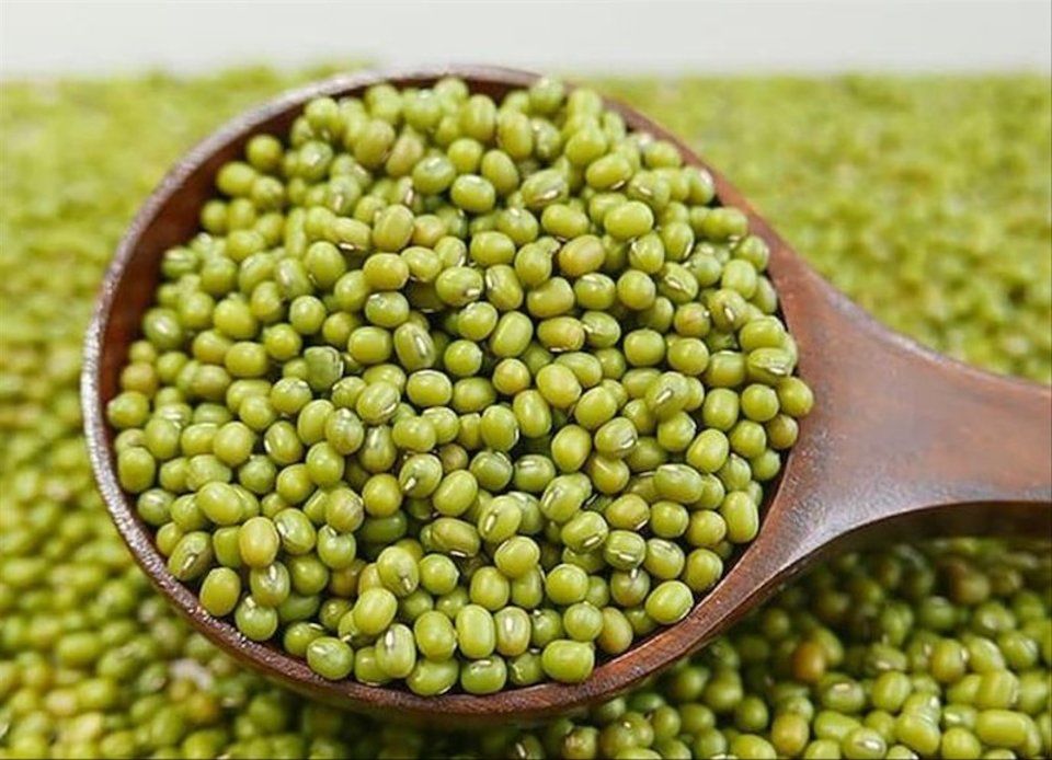 Kỹ thuật trông cây đậu xanh