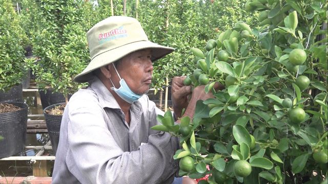 Sơn La đủ tiềm năng cho nền nông nghiệp hiện đại, phát triển bền vững