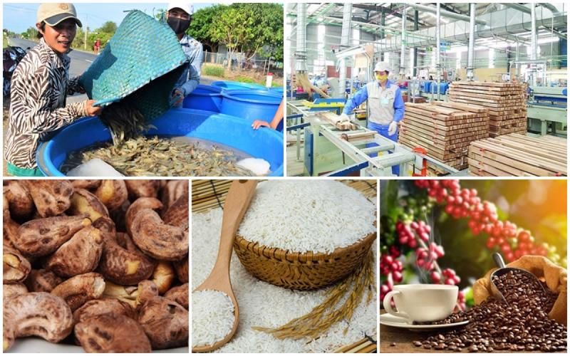 Giá trị xuất khẩu nông sản tăng gần 17% nhưng lợi nhuận của nông dân vẫn thấp