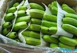 Trung Quốc nhập khẩu trái cây mỗi năm trên 14 tỷ USD từ những nước nào?
