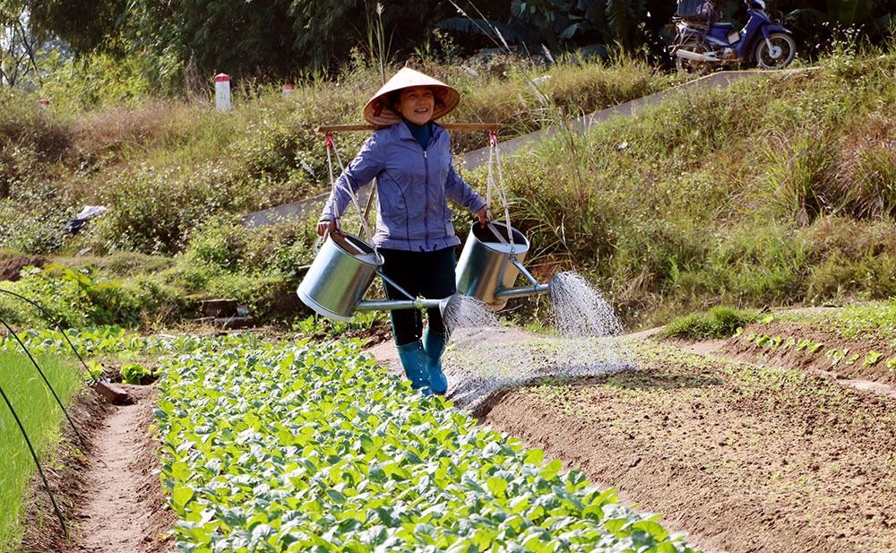 Ngành nông nghiệp ứng phó linh hoạt với khó khăn của thị trường