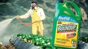 Giới chức EU tái khẳng định ‘glyphosate không gây ung thư’