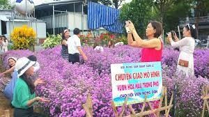 Nông nghiệp đô thị: Tận dụng không gian đô thị giúp nông dân làm giàu