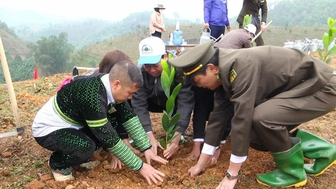 Yên Bái: 3,5ha rừng được trồng tại Lễ hưởng ứng Tết trồng cây xuân Quý Mão