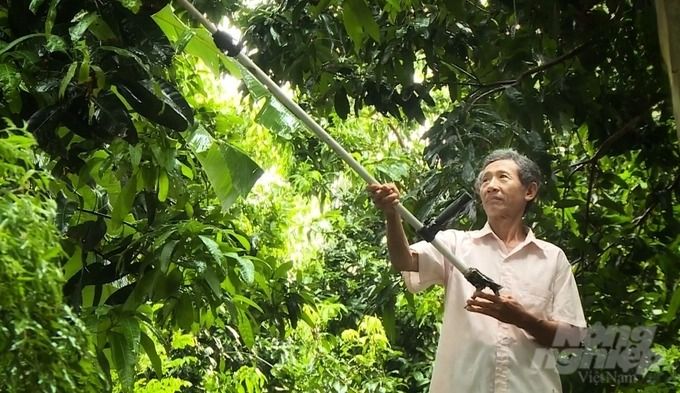 Đến năm 2025, Đồng Tháp hình thành 7 làng thông minh từ mô hình hội quán