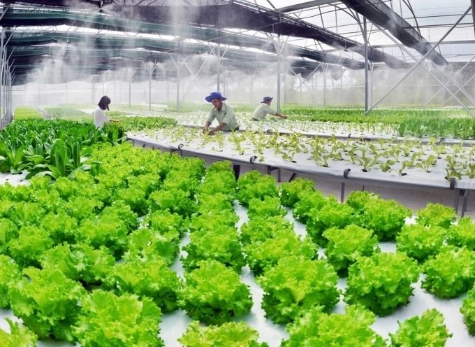 Kéo gần khoảng cách giữa nông dân và đổi mới sáng tạo nông nghiệp