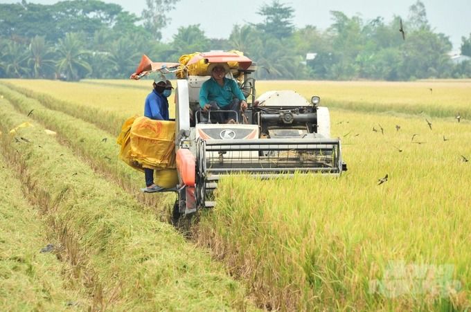 Tăng trưởng sản xuất nông nghiệp Hậu Giang đứng đầu vùng ĐBSCL
