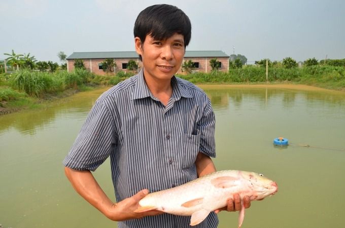 Những mô hình khuyến nông tiêu biểu của Hà Nội