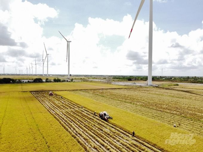 Ngành nông nghiệp Bạc Liêu với 10 nhiệm vụ bứt phá năm 2023