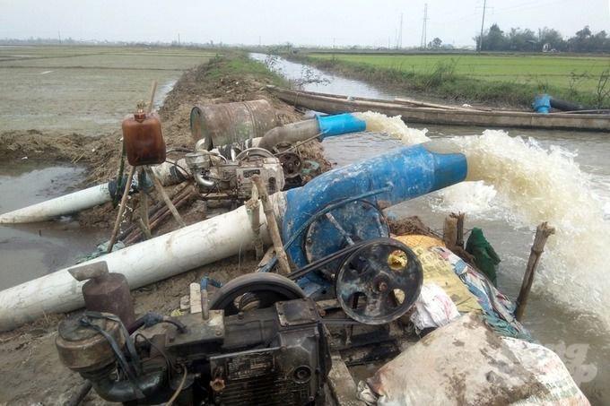 Hơn 7.000 ha lúa mới gieo cấy bị ngập úng, nguy cơ mất trắng