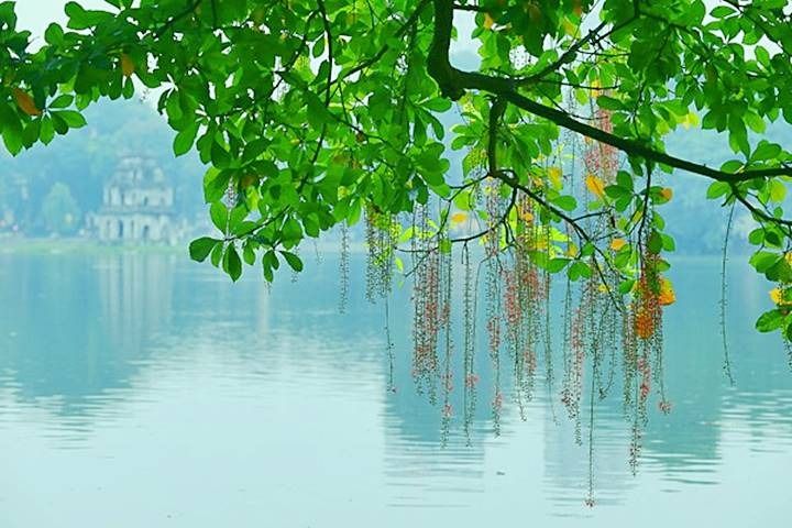 Thời tiết hôm nay 3/6/2023: Miền Bắc giảm nhiệt, có nơi mưa rào