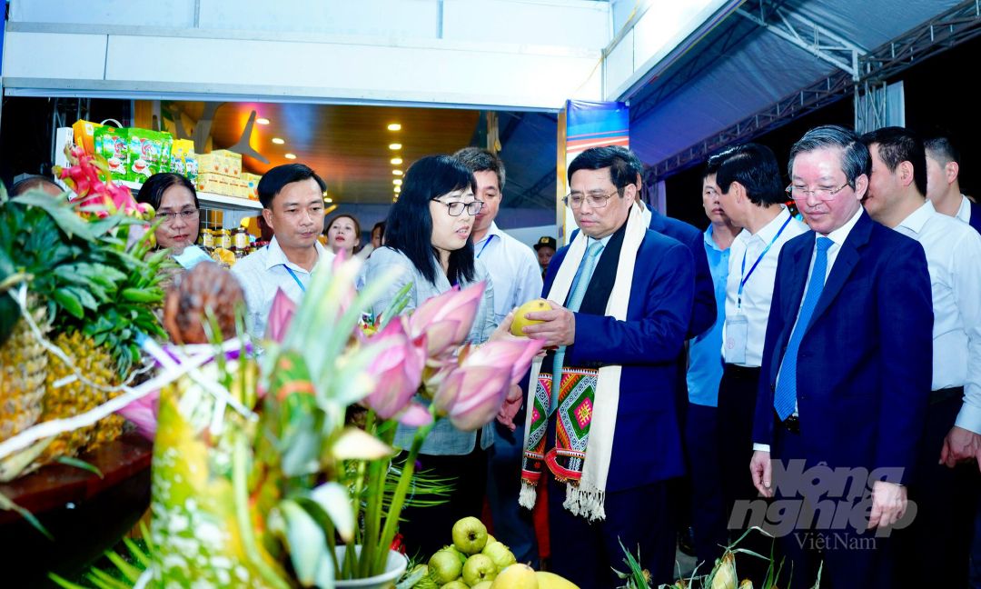 Hơn 1.300 đặc sản khoe sắc tại Festival trái cây và sản phẩm OCOP