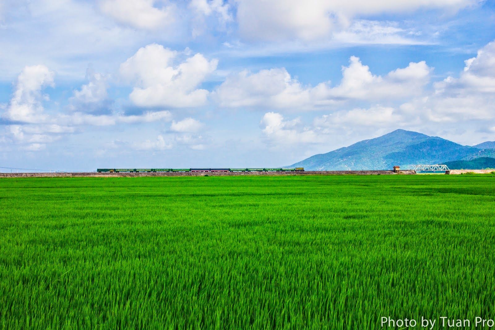 Bình Thuận: Trải 
