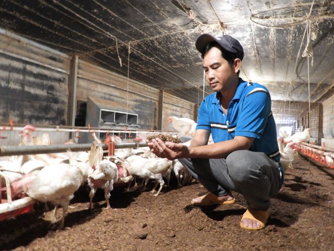 Trang trại gà 'độc nhất vô nhị' ở Tây Ninh