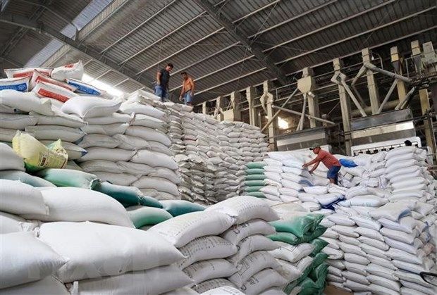 Giá gạo xuất khẩu Thái Lan, Việt Nam tăng mạnh; chỉ 1 tuần giá lúa đã tăng 1.000 đồng/kg