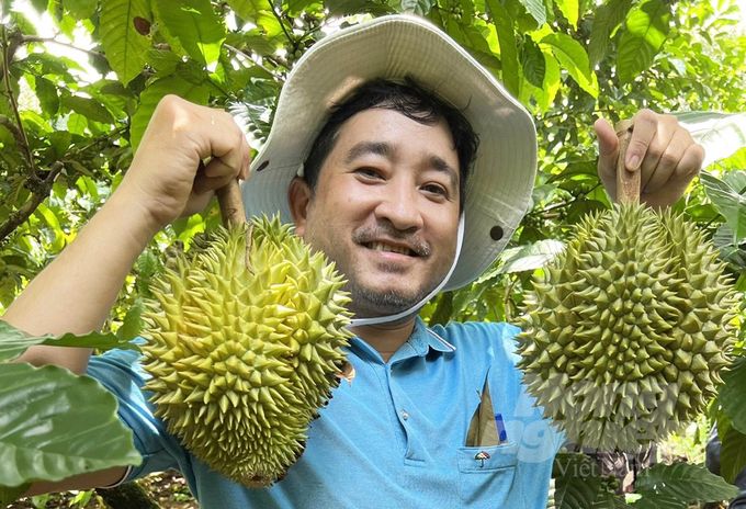 Cuộc đua làm vườn theo 'thời thượng', mít hay sầu riêng