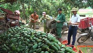 Hội Nông dân Sơn La: Cầm tay, chỉ việc cùng hội viên nông dân phát triển sản xuất, nâng cao thu nhập