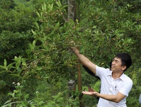 Sơn La: Ứng dụng công nghệ trong sản xuất nông nghiệp