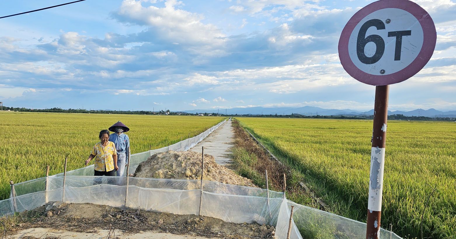 UBND tỉnh Quảng Bình chỉ đạo kiểm tra vấn đề Báo Nông nghiệp Việt Nam nêu