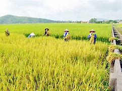 Anh ninh Sơn La: Cùng ăn, cùng ở, cùng làm với đồng bào dân tộc thiểu số vùng cao