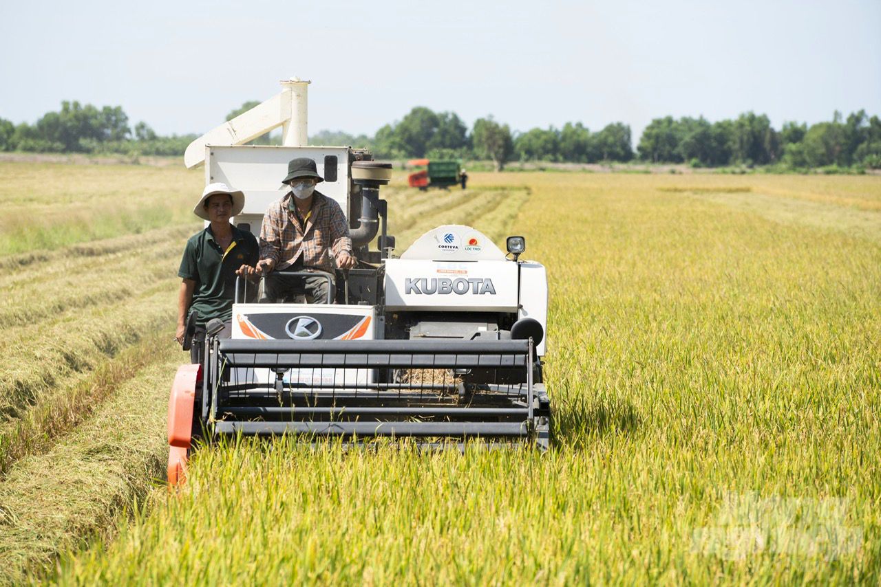Đồng Tháp kêu gọi doanh nghiệp tham gia chuỗi giá trị lúa gạo bền vững