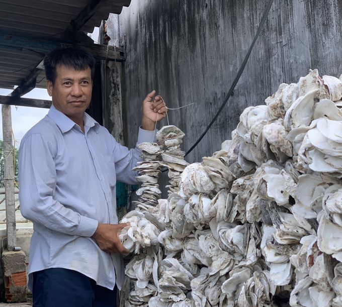 Làm ăn thua lỗ, cơ sở tôm giống chuyển sang ương hàu giống