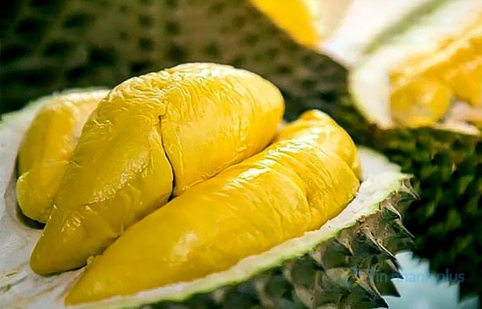 Giá sầu riêng ngày 12/10: Bất ngờ sầu Ri6 giá tăng cao, vì sao vậy?