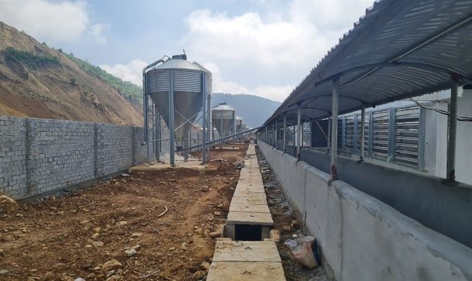 Trang trại lợn thi nhau mọc lên gây quan ngại về môi trường