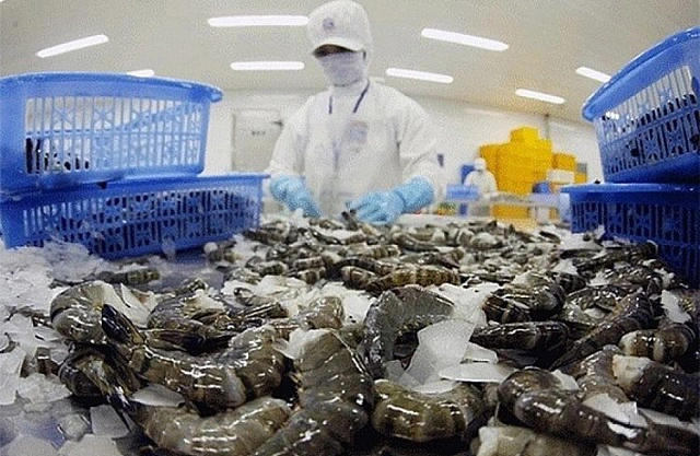 Tôm xuất khẩu phục hồi, thực phẩm Sao Ta ghi nhận doanh số tăng trưởng dương trong tháng 11