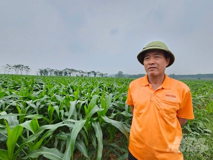 Sức sống vụ đông Nơi vụ đông đã trở thành nghề