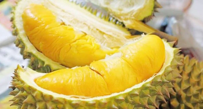 Giá sầu riêng ngày 8/12: Giá sầu riêng vẫn đang có chiều hướng tăng