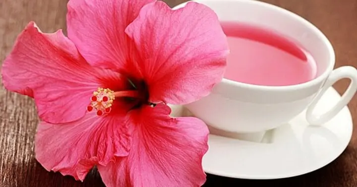 Lợi ích bất ngờ của hoa dâm bụt, trà hoa dâm bụt chữa được bệnh gì?