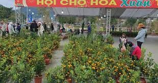 Chợ hoa Xuân thành phố Sơn La hút khách ngày đầu khai mạc