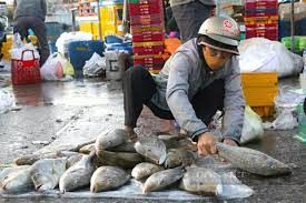 Cảng cá và chợ hải sản lớn nhất Ninh Thuận nhộn nhịp đầu năm Giáp Thìn - 2024