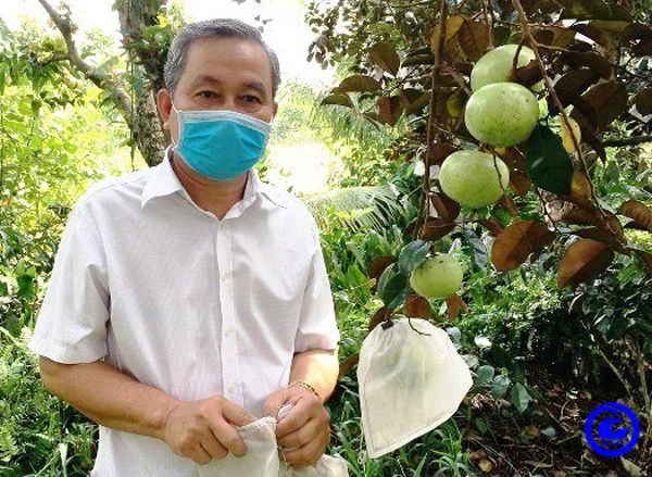 Loại trái cây đặc sản, quả ngon này ở một huyện của Tiền Giang hễ ai nhìn thấy là muốn