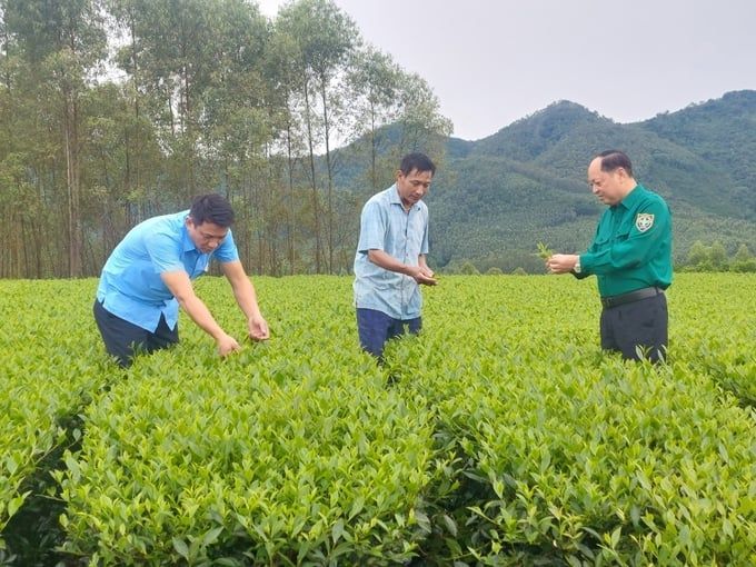 Phú Thọ dành hơn 11,8 tỷ đồng phát triển sản phẩm OCOP