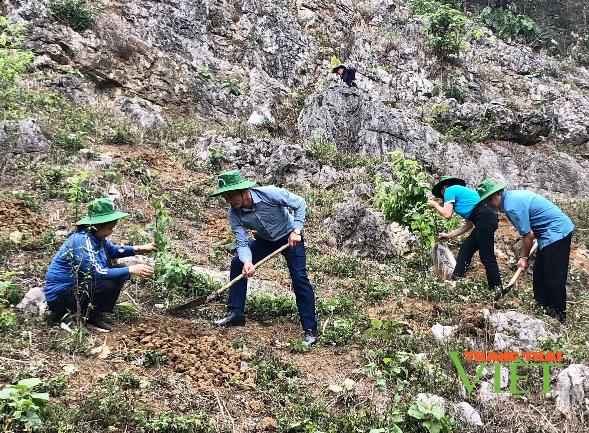 Hội Nông dân Sơn La: Phát động chiến dịch truyền thông về trồng rừng và phục hồi rừng tại Mộc Châu