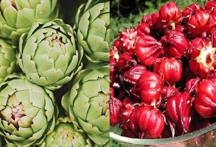 Cách trồng cây Atiso