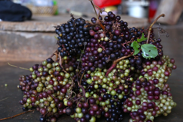 Quả này xưa 