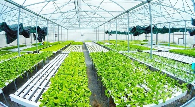Tương lai ngành nông nghiệp Bà Rịa - Vũng Tàu ra sao sau quy hoạch?