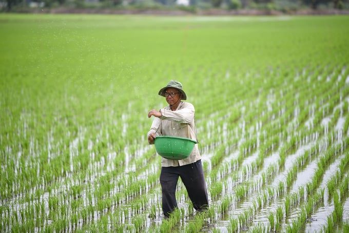 Hơn 2.600 người hưởng lợi từ dự án 'Sử dụng phân bón đúng'
