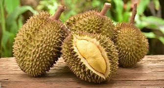 Giá sầu riêng ngày 15/4: Sầu riêng giá bán giá mua đều lao dốc, hàng đẹp mức giá đang bao nhiêu?