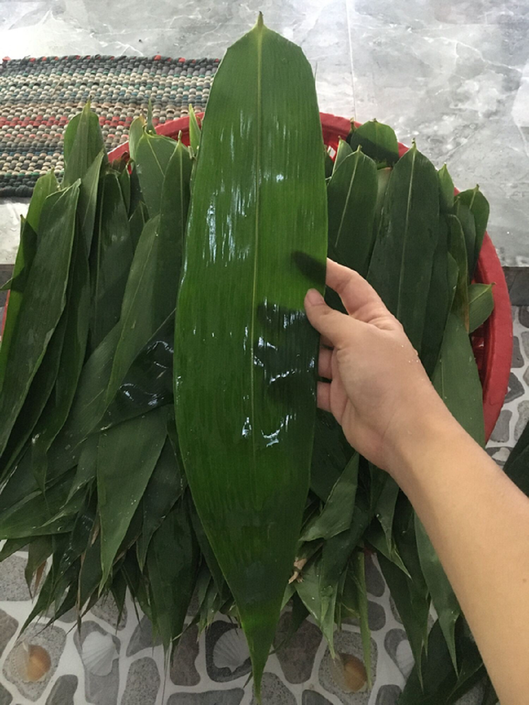 Thứ lá xưa rụng đầy vườn quét mỏi tay, không ngờ nay bán 240.000 đồng