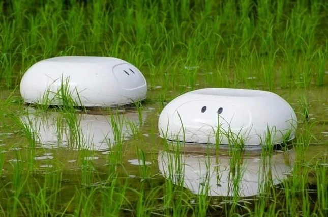 Robot diệt cỏ, giảm ốc bươu vàng, giảm khí metan nhưng không giảm năng suất lúa