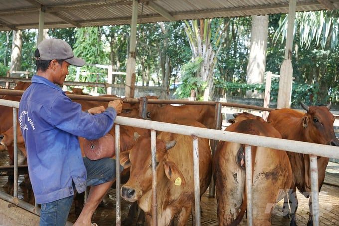 Chủ cơ sở chăn nuôi nông hộ không được gây ảnh hưởng đến người xung quanh