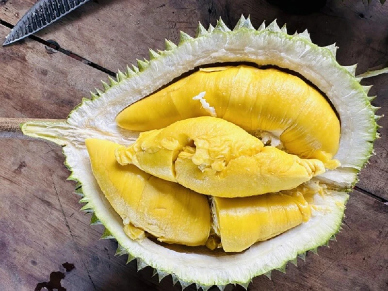 Giá sầu riêng ngày 23/4: Trồng sầu riêng đang 