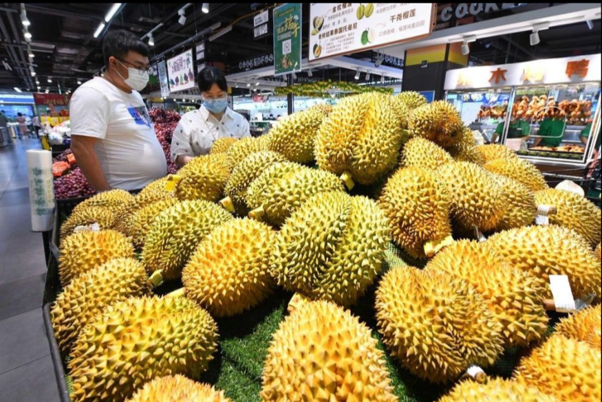 Giá sầu riêng ngày 26/4: Ở Trung Quốc, trái sầu riêng đang được 