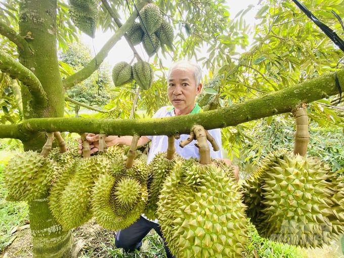 Nhiều mặt hàng nông sản ở ĐBSCL tăng giá